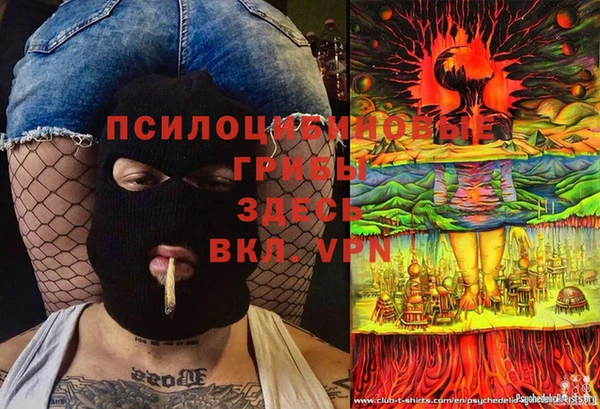 PSILOCYBIN Беломорск