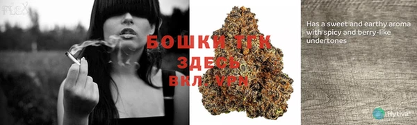 спиды Карпинск