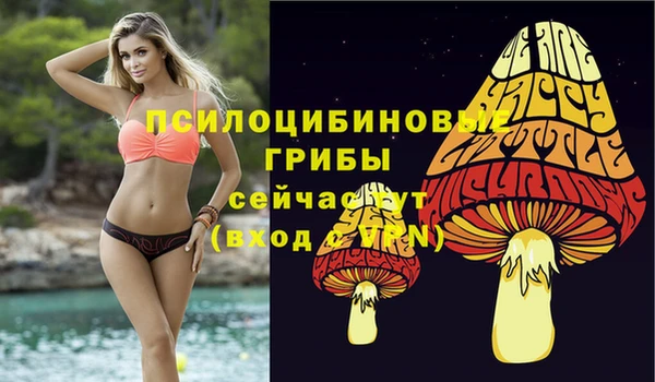 соль ск Ладушкин
