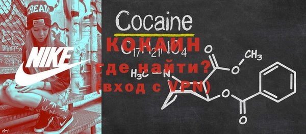 шишки Пестово